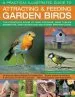 Audiobook A Practical Illustrated Guide to Attracting & Feeding Garden Birds: The Complete Book of Bird Feeders, Bird Tables, Birdbaths, Nest Boxes and Backyard Birdwatching author Dr Jen Green