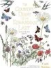 Audiobook The Country Diary of an Edwardian Lady Colouring Book author Edith Holden