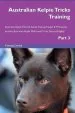 Audiobook Australian Kelpie Tricks Training Australian Kelpie Tricks & Games Training Tracker & Workbook. Includes: Australian Kelpie Multi-Level Tricks, Games & Agility. Part 3 author Training Central