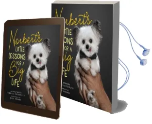 Norbert'S Little Lessons for a big Life Audiobook download free by Julie Steines