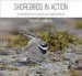 Audiobook Shorebirds in Action: An Introduction to Waders and Their Behaviour author Richard Chandler