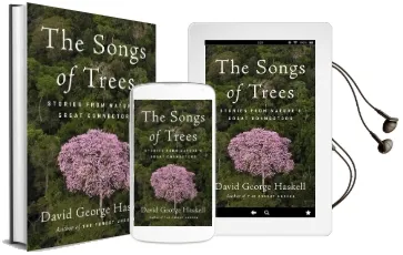 The Songs of Trees: Stories From Nature'S Great Connectors Audiobook download free by David George Haskell