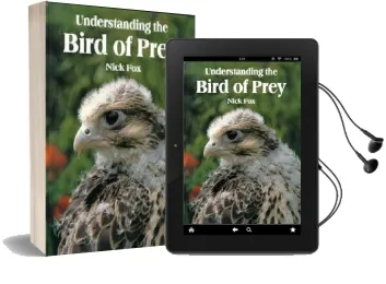 Understanding the Bird of Prey Audiobook download free by Nick Fox