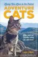 Audiobook Adventure Cats author Laura Moss