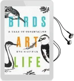 Birds art Life: A Year of Observation Audiobook download free by Kyo Maclear