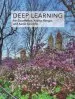 Audiobook Deep Learning author Yoshua Bengio