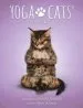 Audiobook Yoga Cats Deck and Book set author Alison Denicola