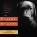 Audiobook Dharma of Dogs: Our Best Friends as Spiritual Teachers author Tami Simon