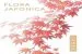 Audiobook Flora Japonica author Masumi Yamanaka