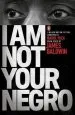 Audiobook I am not Your Negro author James Baldwin