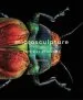 Audiobook Microsculpture: Portraits of Insects author Levon Biss