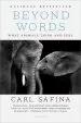 Audiobook Beyond Words: What Animals Think and Feel author Carl Safina