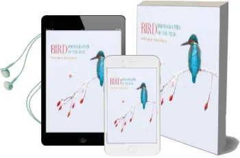 Bird Photographer of the Year: Collection 2 Audiobook download free by Bird Photographer Of The Year