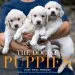 Audiobook Dogist Puppies, the author Elias Weiss Friedman