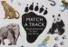Audiobook Match a Track: Match 25 Animals to Their paw Prints author Marcel George