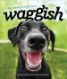 Audiobook Waggish - Dogs Smiling for dog Reasons author Grace Chon