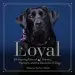 Audiobook Loyal author Rebecca Ascher Walsh