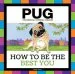 Audiobook Pug: How to be the Best you author Helen James