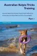 Audiobook Australian Kelpie Tricks Training Australian Kelpie Tricks & Games Training Tracker & Workbook. Includes: Australian Kelpie Multi-Level Tricks, Games & Agility. Part 1 author Training Central