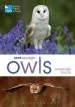 Audiobook Rspb Spotlight Owls author Marianne Taylor