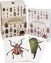 Audiobook A box of Beetles: 100 Beautiful Postcards author Patrice Bouchard
