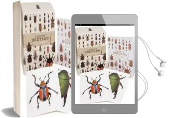 A box of Beetles: 100 Beautiful Postcards Audiobook download free by Patrice Bouchard