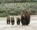 Audiobook Grizzly: The Bears of Greater Yellowstone author Thomas D. Mangelsen