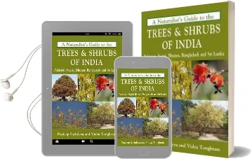 Naturalist'S Guide to the Trees & Shrubs of India Audiobook download free by Pradeep Sachdeva