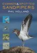 Audiobook Common and Spotted Sandpipers author Phil Holland
