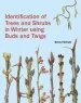 Audiobook Identification of Trees and Shrubs in Winter Using Buds and Twigs author Bernd Schulz