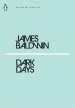 Audiobook Dark Days author James Baldwin