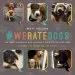 Audiobook #Weratedogs: The Most Hilarious and Adorable Pups You'Ve Ever Seen author Matt Nelson