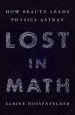 Audiobook Lost in Math: How Beauty Leads Physics Astray author Sabine Hossenfelder