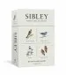 Audiobook Sibley Birds of Land, Sea, and sky: 50 Postcards author David Allen Sibley