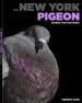 Audiobook The new York Pigeon: Behind the Feathers author Andrew Garn