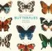Audiobook The Little Guide to Butterflies author Tom Frost
