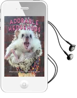 Adorable Hedgehogs Mini 2019: 16-Month Calendar - September 2018 Through December 2019 Audiobook download free by Editors Of Rock Point