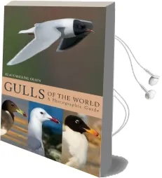 Gulls of the World: A Photographic Guide Audiobook download free by Klaus Malling Olsen