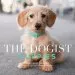 Audiobook The Dogist Puppies author Elias Weiss Friedman