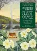 Audiobook The Druid Plant Oracle author Philip Carr Gomm