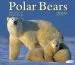 Audiobook Polar Bears 2019 author Norbert Rosing