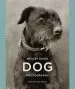 Audiobook Really Good dog Photography author Hoxton Mini Press