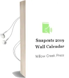 Snapcats 2019 Wall Calendar Audiobook download free by Willow Creek Press