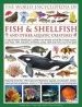 Audiobook World Encyclopedia of Fish & Shellfish and Other Aquatic Creatures author Derek Hall