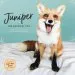 Audiobook 2019 Wall Calendar: Juniper: The Happiest fox author Jessika Coker