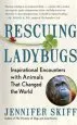 Audiobook Rescuing Ladybugs: Inspirational Encounters With Animals That Changed the World author Jennifer Skiff
