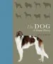 Audiobook The dog: A Natural History author Adam Miklosi