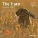 Audiobook The Hare Calendar 2019 author The Hare Preservation Trust