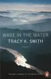 Audiobook Wade in the Water author Tracy K. Smith