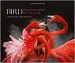 Audiobook Bird Photographer of the Year: Collection 3 author Bird Photographer Of The Year